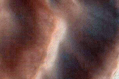 Monitoring of USGS Dune Database Entry Number 2365-596