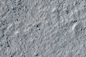 Scarp Monitoring