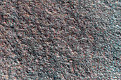 Gully Monitoring