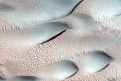 Dune Monitoring in Lyot Crater