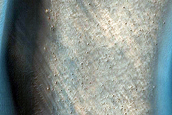 Defrosting Dune Transition and Elongated Barchans