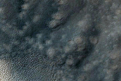 USGS Dune Database Entry Number 1078-705