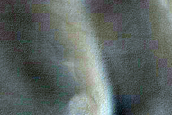USGS Dune Database Entry Number 2561-766
