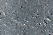 Channel-Like Features in Cerberus Region