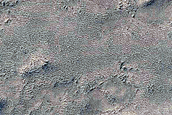 Candidate Recent Impact Site
