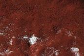 Seasonal Monitoring near Dorsa Argentea
