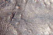 Gully Monitoring