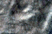 USGS Dune Database Entry Number 1195-706
