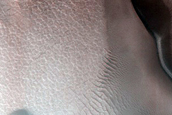 Dune Monitoring