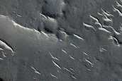Utopia Planitia