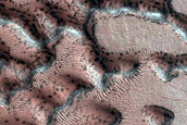 Dune Monitoring in Crater