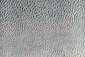 USGS Dune Database Entry Number 0484-773