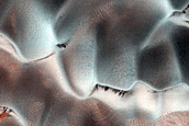 Dune Monitoring in Lyot Crater