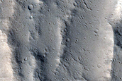 Sacra Sulci