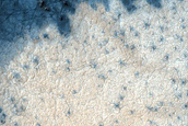 New Spider Terrain Development