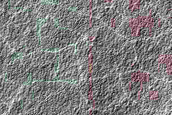 South Polar Monitoring