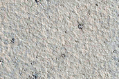 Candidate Recent Impact Site