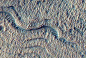 Gullied Slope
