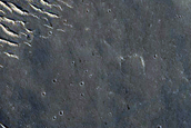 Candidate Recent Impact Site