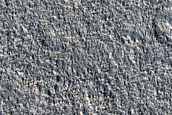 Terrain Sample