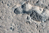 Lucus Planum