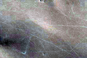 Terrain Sample