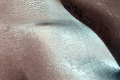 Dune Monitoring in Crater