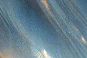 Elongating Linear Dunes in Argyre Planitia
