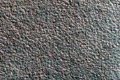Terrain Sample