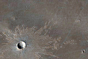 Candidate Recent Impact Site