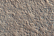 Crater Floor Materials in Arcadia Planitia