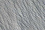 Candidate Recent Impact Site