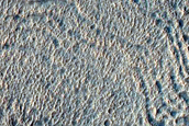 Gullied Slope