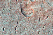 Scalloped Depressions in Utopia Planitia