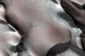 Dune Monitoring in Crater