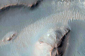 Gully Monitoring