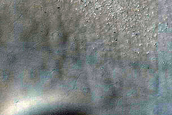 USGS Dune Database Entry Number 1350-649