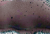 Dune Monitoring in Crater