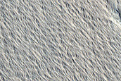 Terrain Sample