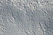 Terrain Sample