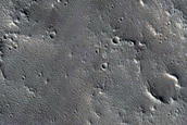 Terrain Sample