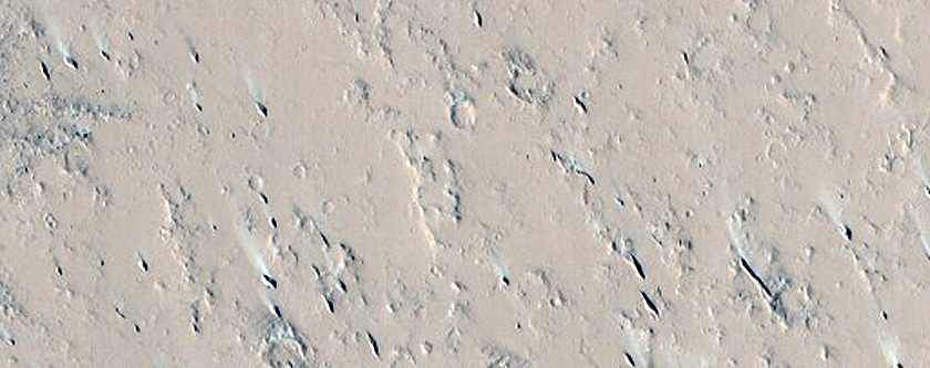 Terrain Sample