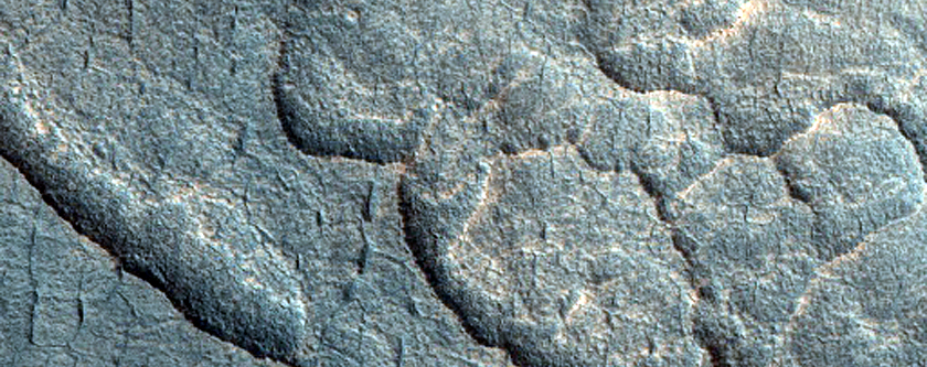 Surface with Scalloped Depressions in Utopia Planitia