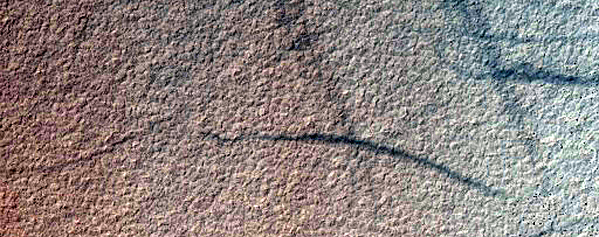 USGS Dune Database Entry Number 1388-698