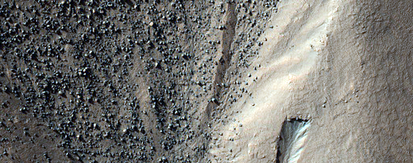 Gully Monitoring
