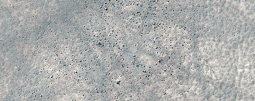 Sinuous Ridge