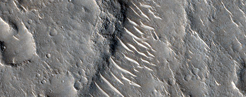 Curvilinear Ridge in Isidis Planitia