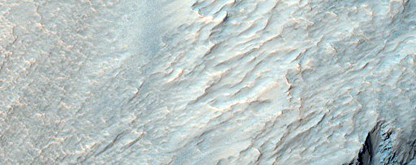 Gullies in Northern Hellas Planitia