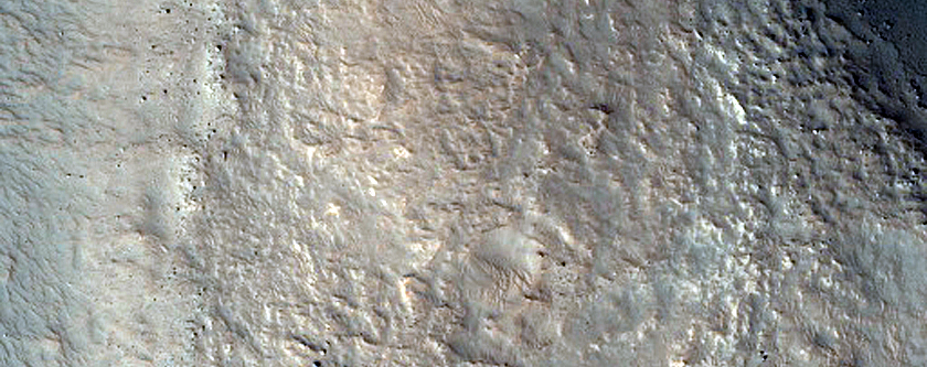 Layered Features in Craters in Protonilus Mensae