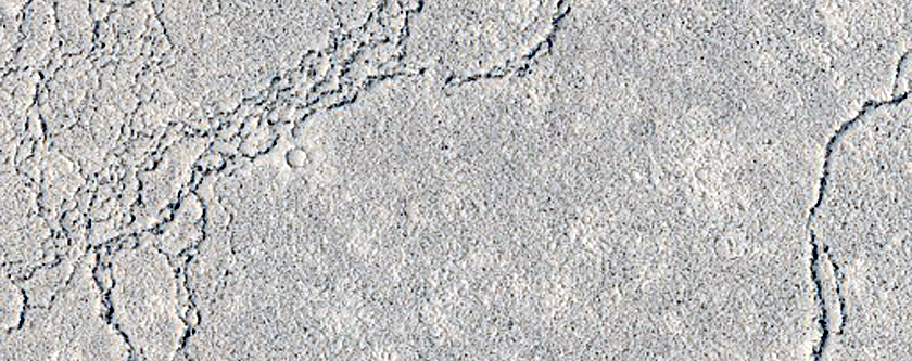 Lava-Draped Craters in Cerberus Palus